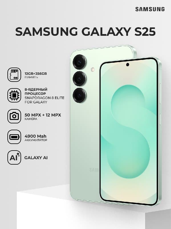 Samsung Galaxy S25 256GB mint